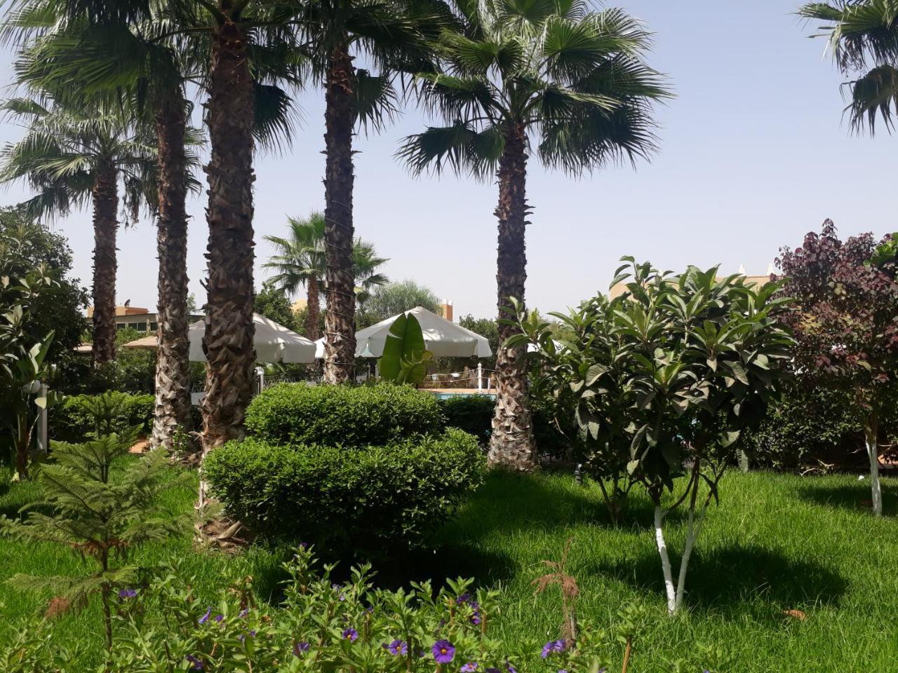 Almounia Hotel & Spa Tarudant Kültér fotó