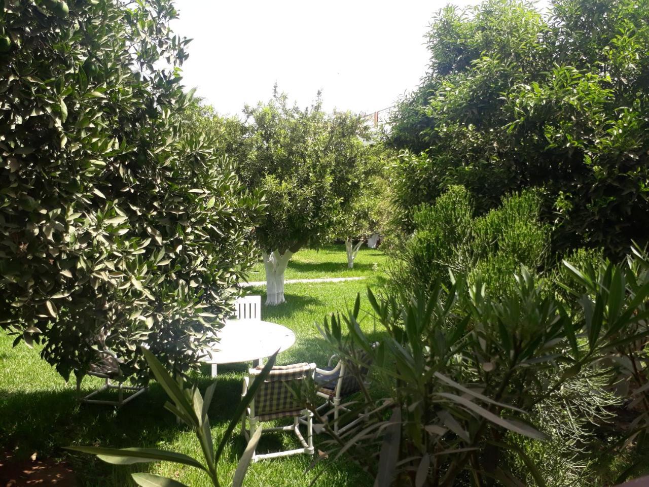 Almounia Hotel & Spa Tarudant Kültér fotó