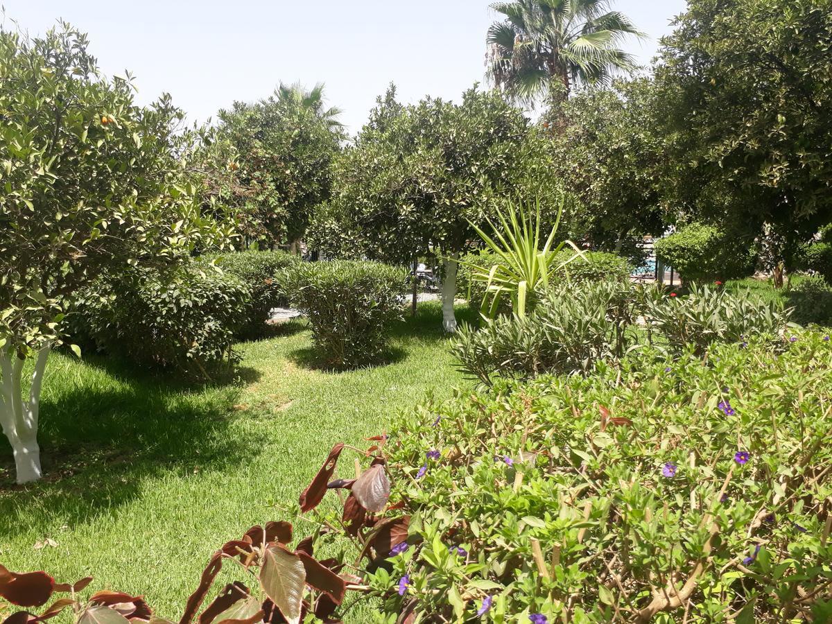 Almounia Hotel & Spa Tarudant Kültér fotó