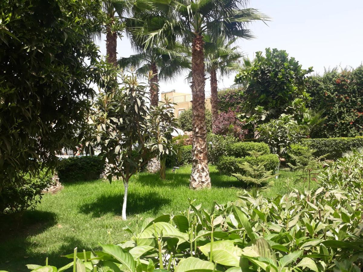 Almounia Hotel & Spa Tarudant Kültér fotó